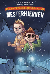 Mesterhjernen av Lars Mæhle (Innbundet)