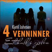Et hull i sjelen av Kjetil Johnsen (Nedlastbar lydbok)