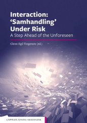 Interaction: 'Samhandling' Under Risk av Glenn-Egil Torgersen (Heftet)