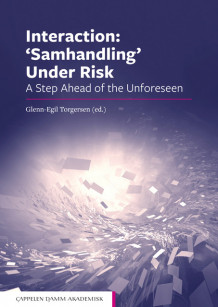 Interaction: 'Samhandling' Under Risk av Glenn-Egil Torgersen (Heftet)