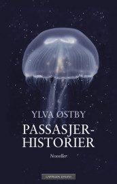 Passasjerhistorier av Ylva Berger (Ebok)