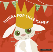 Hurra for lille kanin! av Ingrid Erøy Fagervik (Kartonert)