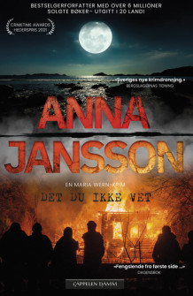 Det du ikke vet av Anna Jansson (Ebok)