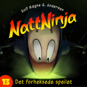 Nattninja - Det forheksede speilet av Rolf Magne G. Andersen (Nedlastbar lydbok)
