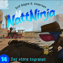 Nattninja - Det store togranet av Rolf Magne G. Andersen (Nedlastbar lydbok)