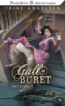 Brått en dag av Trine Angelsen (Ebok)