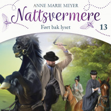 Ført bak lyset av Anne Marie Meyer (Nedlastbar lydbok)