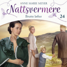 Brutte løfter av Anne Marie Meyer (Nedlastbar lydbok)
