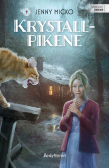 Beskytteren av Jenny Micko (Ebok)