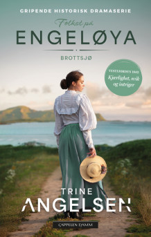 Brottsjø av Trine Angelsen (Heftet)