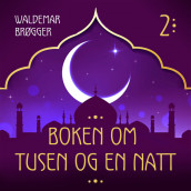 Boken om Tusen og en natt 2 av Flere (Nedlastbar lydbok)