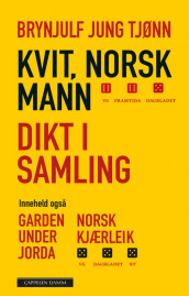 Kvit, norsk mann av Brynjulf Jung Tjønn (Ebok)