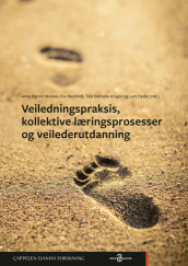 Veiledningspraksis, kollektive læringsprosesser og veilederutdanning av Eva Bjerkholt, Tine Dahlskås Krogen, Anna Rigmor Moxnes og Lars Opdal (Heftet)