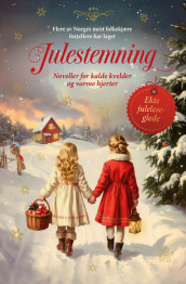 Julestemning 2025 av Yvonne Andersen, Trine Angelsen, Ragnhild Havstad, Lukritzia Loven, Mali Ludvigsen, Anne Marie Meyer, Jenny Micko, Jane Mysen og Martine Strømsnes (Heftet)