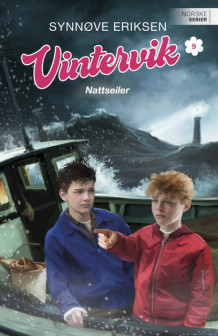 Nattseiler av Synnøve Eriksen (Ebok)