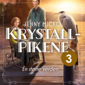 En større verden av Jenny Micko (Nedlastbar lydbok)
