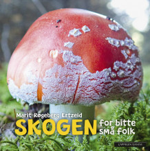 Skogen for bitte små folk av Marit Røgeberg Ertzeid (Kartonert)