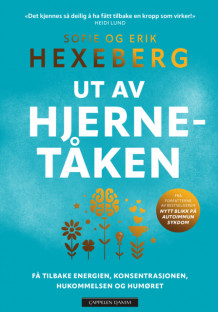 Ut av hjernetåken av Erik Hexeberg og Sofie Hexeberg (Heftet)