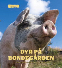 Dyr på bondegården av Roger Brendhagen og Ole Mathismoen (Innbundet)